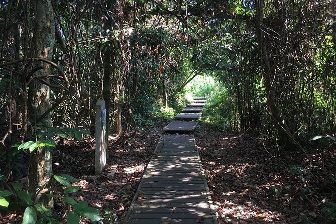 4-Day Jungle Experience in Taman Negara from Kuala Lumpur - Day 2: Teresek Hill Trek for Views and Lata Berkoh Waterfall Time