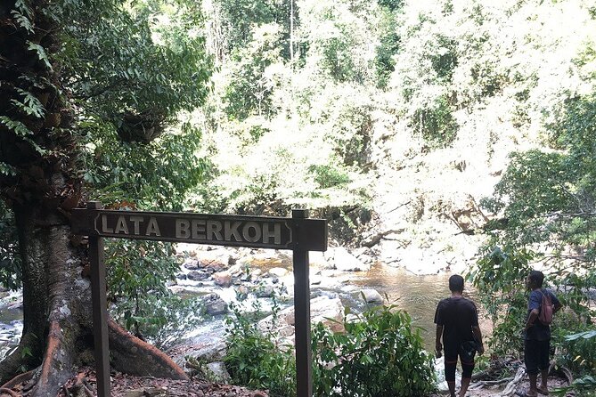 4-Day Jungle Experience in Taman Negara from Kuala Lumpur - Mutiara Taman Negara Resort: Your Chalet Base and Why It Matters
