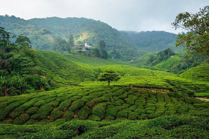 7-Days Best of Malaysia - Key takeaways before you go