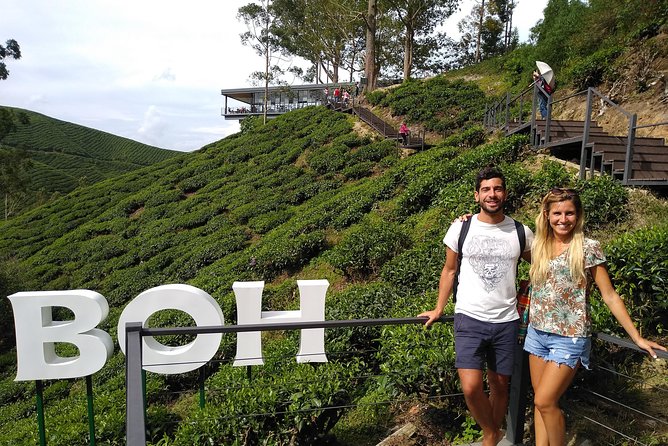 Amazing Cameron Highland Day Tour From Kuala Lumpur - BOH Tea Estate: The View Platform Moment You Actually Remember