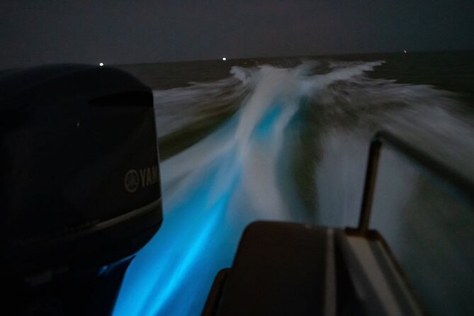 Amazing Fireflies With Blue Tears Watching & Kuala Selangor Tour - Why Kuala Selangor’s night show is worth the drive from KL