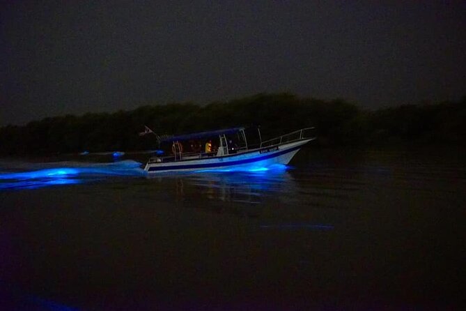 Amazing Fireflies With Blue Tears Watching & Kuala Selangor Tour - Stops, meals, and the optional add-ons you should understand