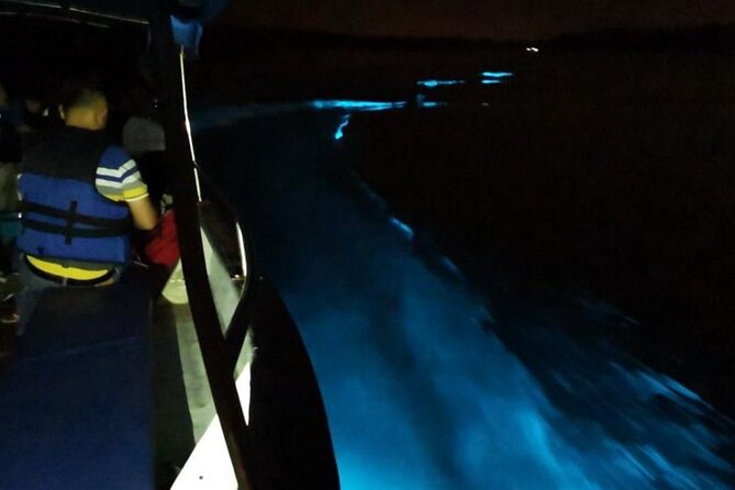 Amazing Fireflies With Blue Tears Watching & Kuala Selangor Tour - Price and value: is $55.92 a fair deal?