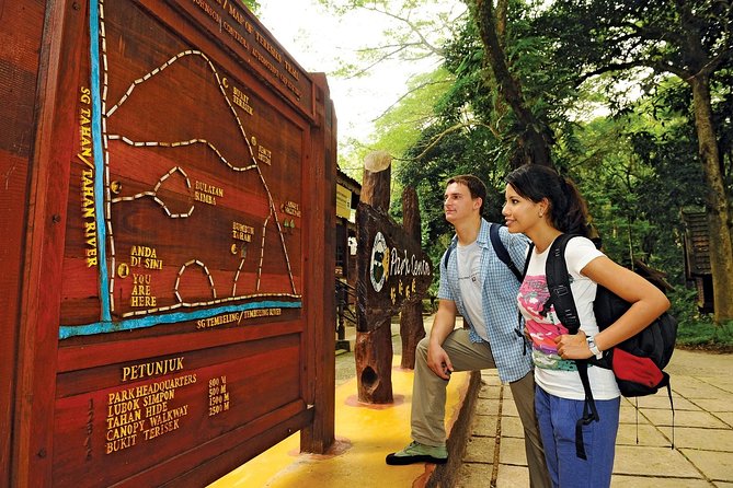Amazing Taman Negara Day Trip from Kuala Lumpur Including Lunch - Hotel pickup timing: the 5am start matters