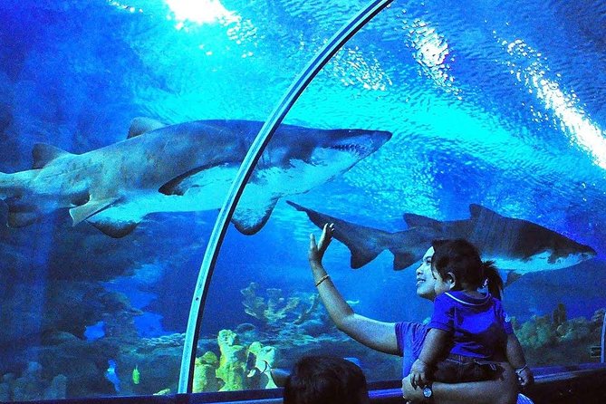 Aquaria KLCC Admission with Kuala Lumpur City Famous Landmarks - Key things I’d circle before you go