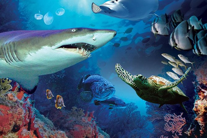 Aquaria KLCC Admission with Kuala Lumpur City Famous Landmarks - Aquaria KLCC plus a city loop: how the tour actually feels
