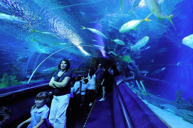 Aquaria KLCC Admission with Kuala Lumpur City Famous Landmarks - The River of Life: a short waterfront break with a big-city feel