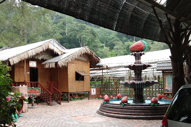 Batu Caves and Genting Highland Tour - The driver factor: safety and smooth navigation