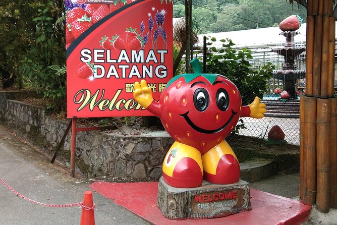 Batu Caves and Genting Highland Tour - Should you book this Batu Caves and Genting Highlands tour?
