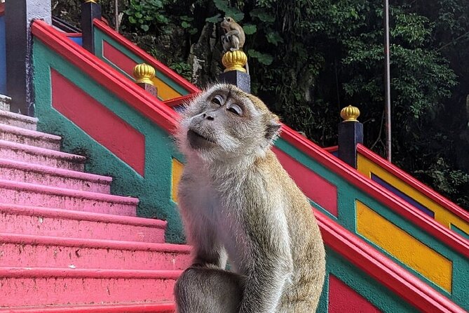 Batu Caves,Waterfalls and Hot Springs Tour With Lunch - Batu Caves and its 272 steps: the climb, the rules, and the monkey plan