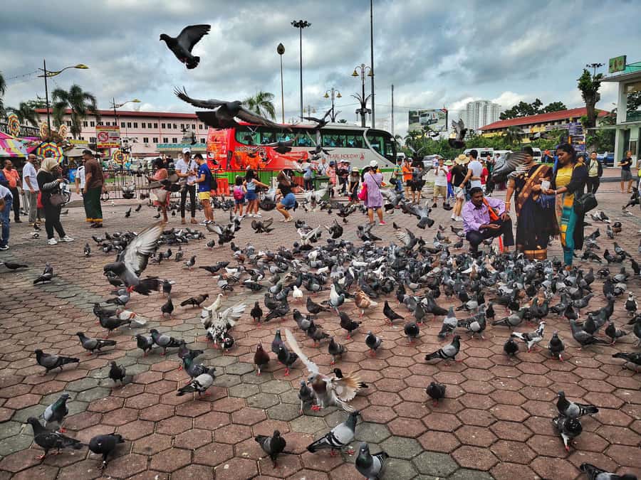 Best of Kuala Lumpur Tour with KL Tower & Batu Caves - Drive-Past Stops: Botanical Gardens and Bird Park