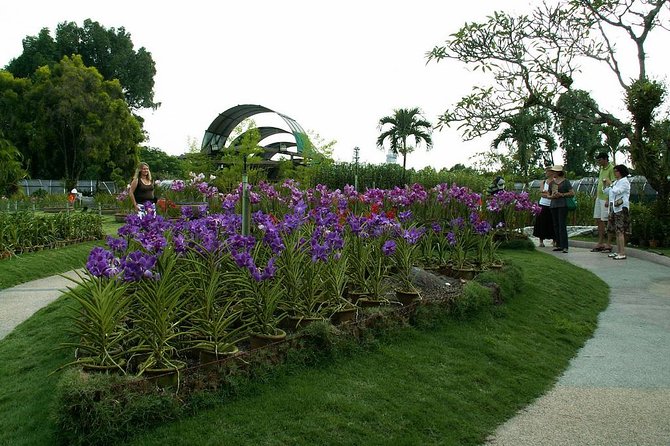 Bird Park & Butterfly Farm Nature Include All Entrance Tour From Kuala Lumpur - Why This One-Day Bird, Butterfly, Orchid Route Works