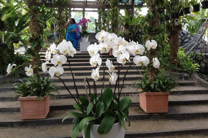 Bird Park & Butterfly Farm Nature Include All Entrance Tour From Kuala Lumpur - Price and Logistics: What You’re Really Paying For