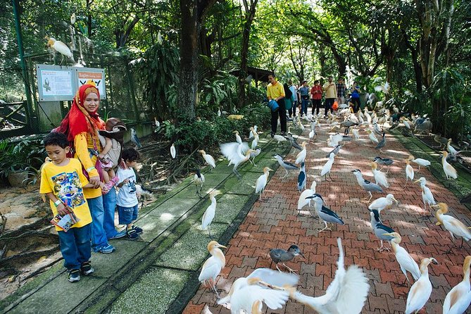 Bird Park & Butterfly Farm Nature Include All Entrance Tour From Kuala Lumpur - How the 3-Stop Timing Feels in Real Life