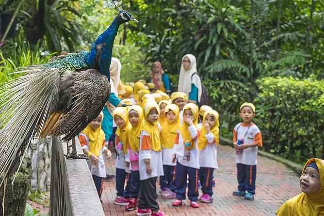 Bird Park & Butterfly Farm Nature Tour From Kuala Lumpur - Taman Orkid & Bunga Raya: orchid varieties and how they grow