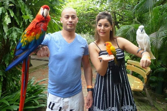 Bird Park & Butterfly Farm Nature Tour From Kuala Lumpur - Hotel pickup, an air-conditioned car, and the driver factor