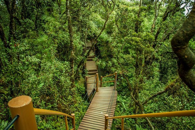 Cameron Highland Day Tour from Kuala Lumpur - Handmade basket factory, Lata Iskandar waterfall photos, and craft culture