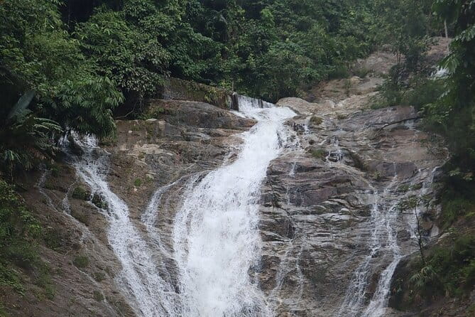 Cameron Highland Full Day Tour from KL City Private Tour - Start in Bukit Bintang at 7:00am: how the day actually feels