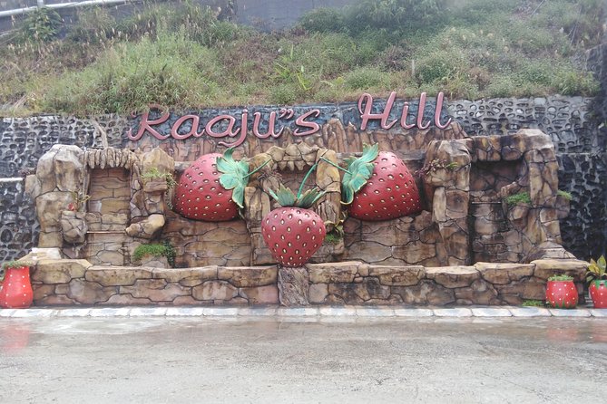 Cameron Highland Private Day Tour - Cameron Highlands, Without the Day-Planning Headache