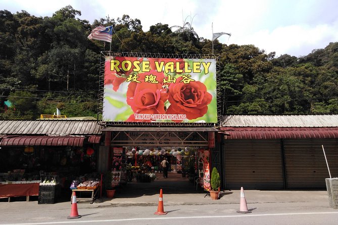 Cameron Highland Private Day Tour - Tea Break in Cameron Valley: Scones, Cakes, and a Reset
