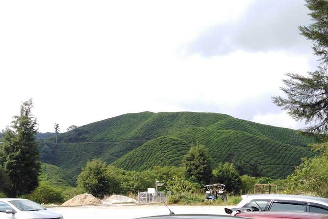 Cameron Highland Private Day Tour - Kea Farm Market: Quick Stop, Big Practical Energy