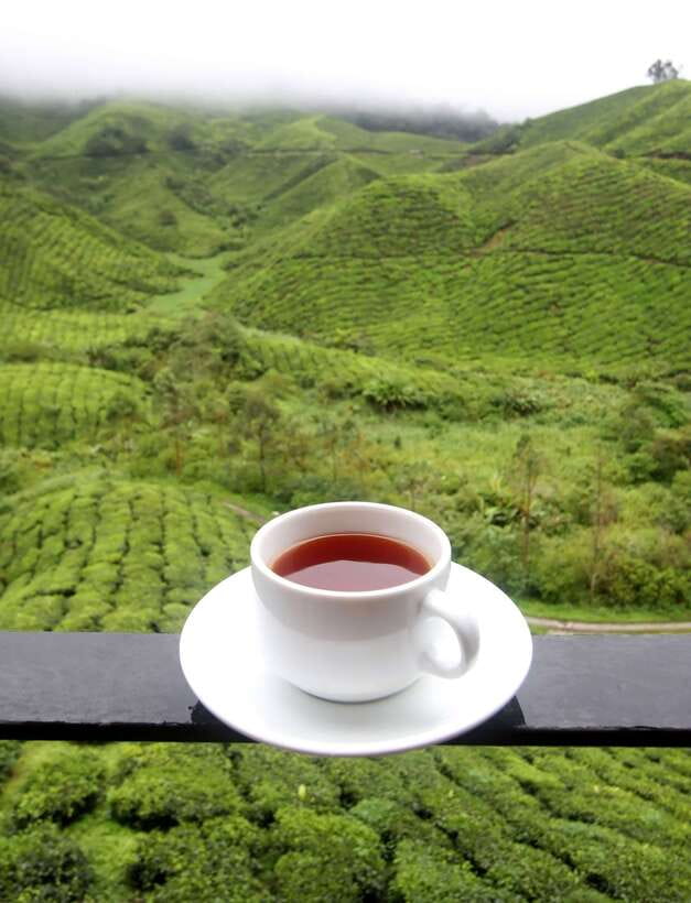 Cameron Highlands 1 Day Tour from Kuala Lumpur - Cameron Highlands: what makes this hill station worth the trip