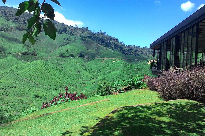 Cameron Highlands 3 Days 2 Night Tours Private (per Vehicle) - Entering The Cameron Highlands: Private Comfort From Kuala Lumpur