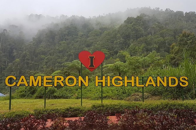 Cameron Highlands Amazing Day Trip Tour with Local Lunch - Key things I’d mark on your map