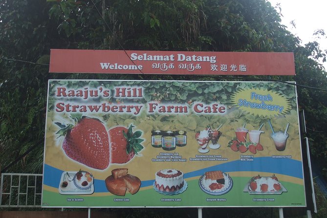 Cameron Highlands Amazing Day Trip Tour with Local Lunch - Raju Hill Strawberry Farm: cafe time and the strawberry reality