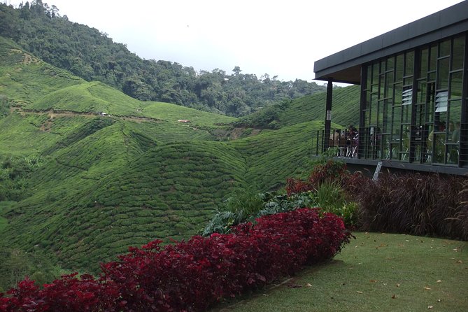 Cameron Highlands Amazing Day Trip Tour with Local Lunch - Stop 1: Lata Iskandar waterfall for quick “hill-country” payoff