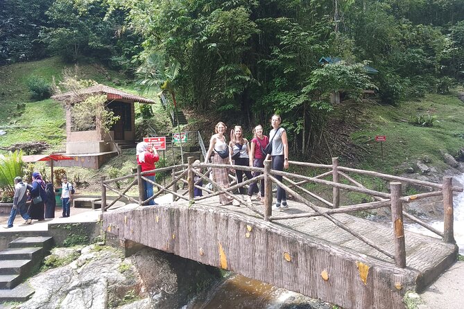 Cameron Highlands Day Trip - The value play: private pickup from Hotel Maya and an AC ride all day