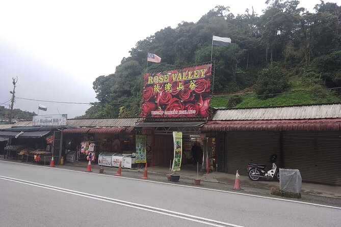 Cameron Highlands Day Trip - Bharat Tea and the BOH plantations: two ways to do tea country