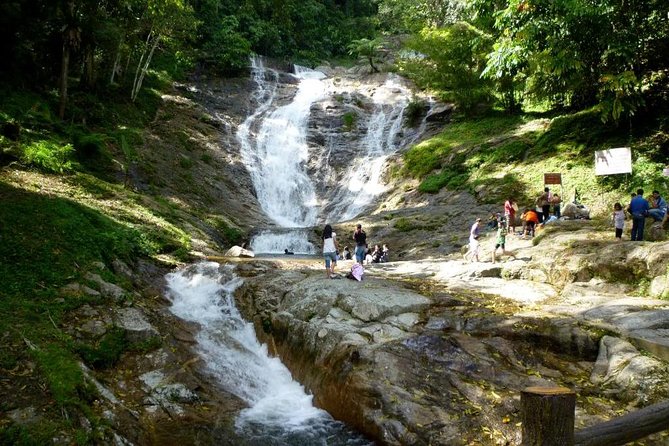 Cameron Highlands Full-Day Nature Tour - Price and logistics: how $92 fits the day