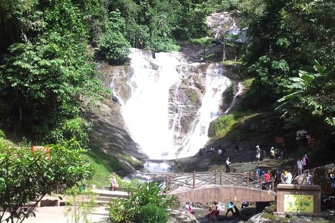 Cameron Highlands Full-Day Nature Tour - How to make the most of every stop (without feeling rushed)