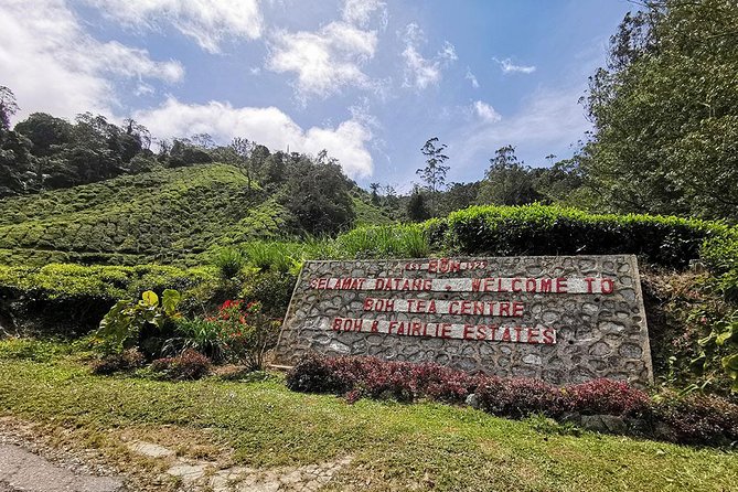 Cameron Highlands Full-Day Nature Tour - Big Red Strawberry Farm: fun cafe and market, picking depends on season
