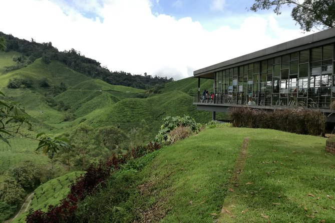 Cameron Highlands, Garden of Nature Full Day Private Guided Tour - Key points at a glance