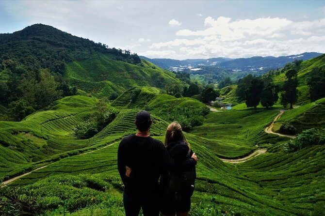 Cameron Highlands Tour from Kuala Lumpur - Price and what $126 really buys you