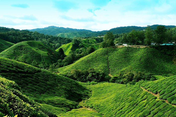 Cameron Highlands Tour from Kuala Lumpur - Lata Iskandar waterfall: 25 meters, tiers of granite, and quick shopping