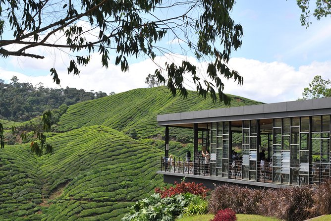Cameron Highlands Tour From Kuala Lumpur (Private Tour) - Lata Iskandar waterfall: a short nature stop that breaks up the long drive