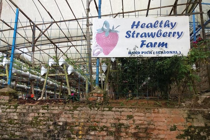 Cameron Highlands Tour From Kuala Lumpur (Private Tour) - Cameron Valley / Bharat Tea Estate: viewpoints with a souvenir-café rhythm