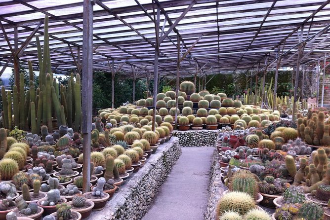 Cameron Highlands Tour From Kuala Lumpur (Private Tour) - Brinchang, Sam Poh Temple, and that hilltop calm