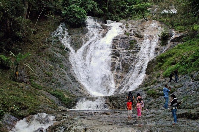 Cameron Highlands Tour on Private Basis - Aborigines Village blowpipe demo: the cultural stop you’ll remember