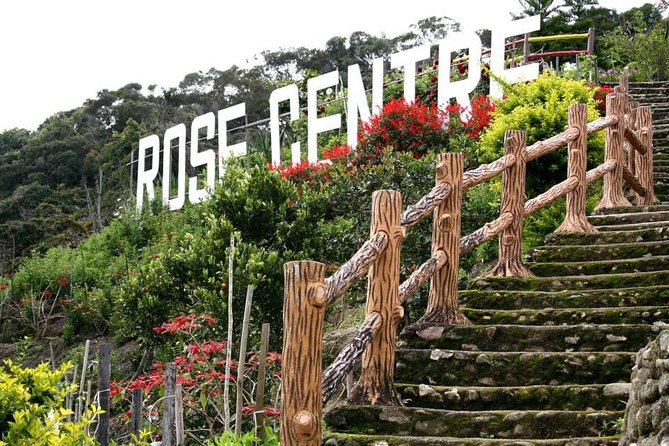 Cameron Highlands Tour on Private Basis - Vegetable farm and market: the working side of the Highlands