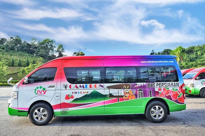 Cameron Highlands with Lunch Guided Day Tour (SIC/Shared Tour) - Why This 12-Hour Shared Trip Works (and When It Doesn’t)