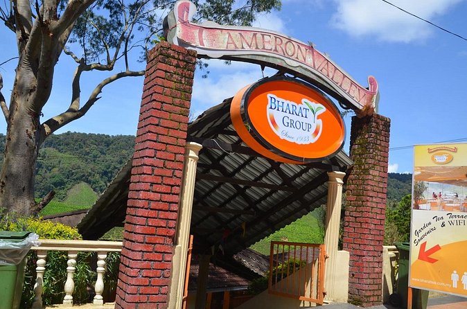 Elevate Your Senses: A Day of Wonders in Cameron Highlands! - Stop 2: Cameron Bharat Tea Estate with iconic plantation views