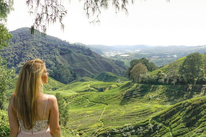 Explore Cameron Highlands: Full-Day Tour with Scenic Batu Caves - Lata Iskandar waterfalls: a quick dip break and the souvenir-shop side of the Highlands