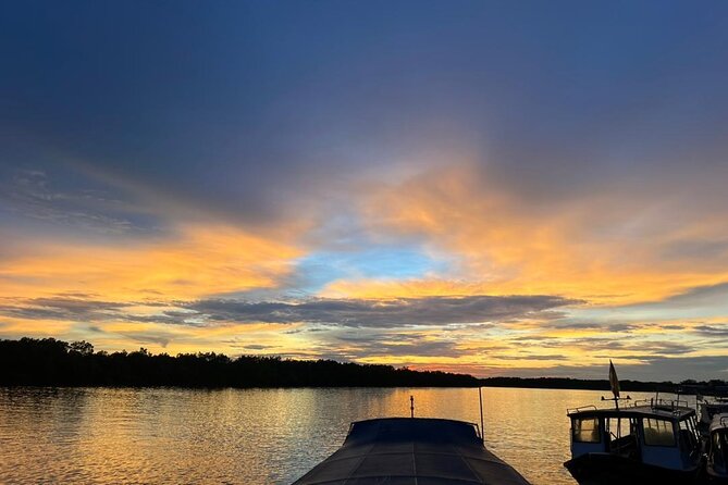 Fireflies & Silver leaf monkey Gazing tour - Kampung Kuantan / Kampung Belimbing Fireflies: the included boat time you came for