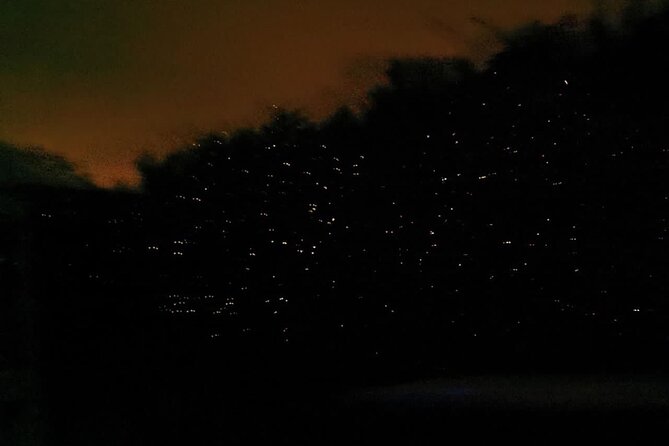 Fireflies & Silver leaf monkey Gazing tour - Optional blue tears bioluminescence: a mixed bet, even when it’s offered