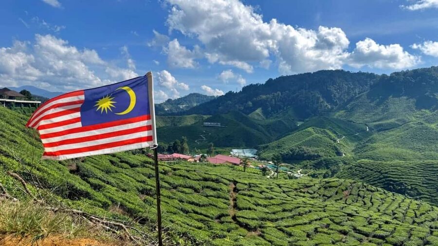 From Kuala Lumpur: Cameron Highlands Day Tour with Lunch - Cameron Valley Tea House No. 2: this is the heart of the day