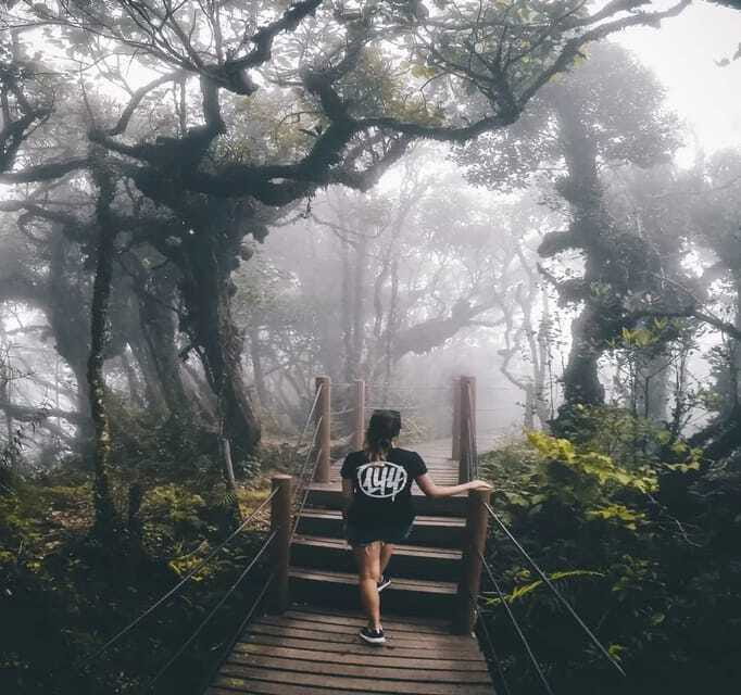 From Kuala Lumpur: Cameron Highlands Day Trip with Transfers - Who should book this day trip (and who might want a different plan)